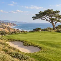Coastal Pine course artwork