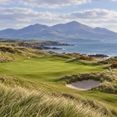 Royal Moors course artwork