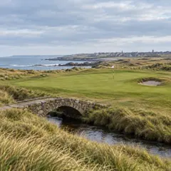 Olde Scottish course artwork